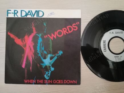 F-R DAVID-WORDS- 1982 FRANSA BASIM 45 LİK PLAK