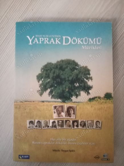 YAPRAK DÖKÜMÜ MÜZİKLERİ - Toygar Işıklı - MÜZİK CD ALBÜM - TÜRKİYE BASIM