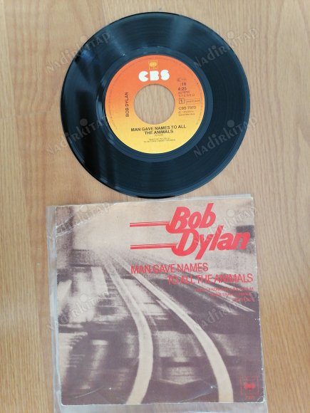 BOB DYLAN - MAN GAVE NAMES TO ALL THE ANIMALS / WHEN HE RETURNS - 1979 HOLLANDA BASIM 45 LİK PLAK