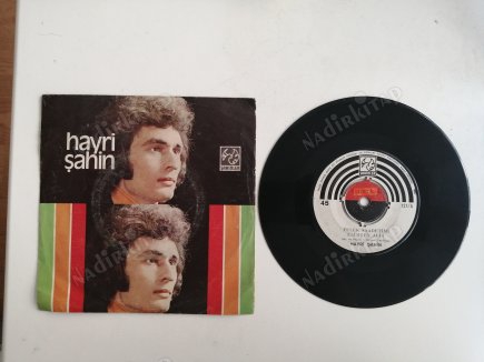 HAYRİ ŞAHİN - FELEK SAADETİMİ ELİMDEN ALDI / GÖZLERİM YOLDA KALDI * 45 lik Türkçe Plak