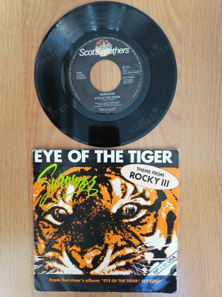 SURVIVOR- EYE OF THE TIGER/ TAKE YOU ON A SATURDAY - 1982 HOLLANDA  BASIM 45’LİK  PLAK