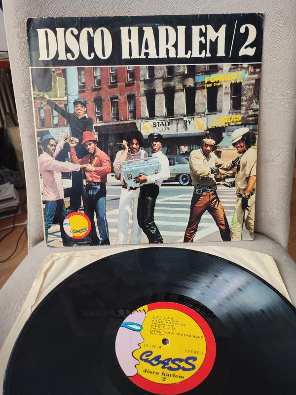 DISCO HARLEM 2  - Dönem  Türkiye Basım Plak 33lük 2.EL