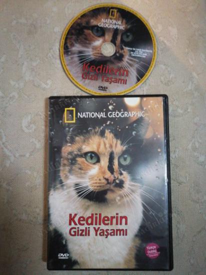 KEDİLERİN GİZLİ YAŞAMI  -  NATIONAL GEOGRAPHIC  - 53 DAKİKA - BELGESEL DVD FİLM