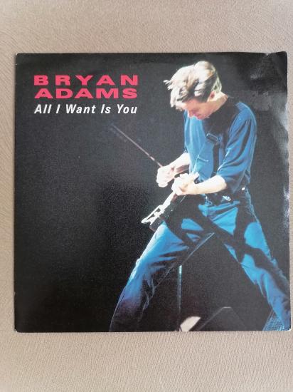 BRYAN ADAMS  - All I Want is You / Run To You ( Live ) - 1992 İngiltere Basım 45 LİK PLAK